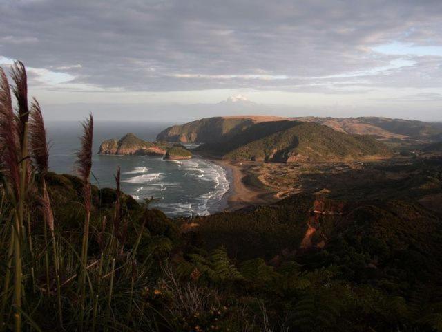 Bethells Beach Cottages Dış mekan fotoğraf