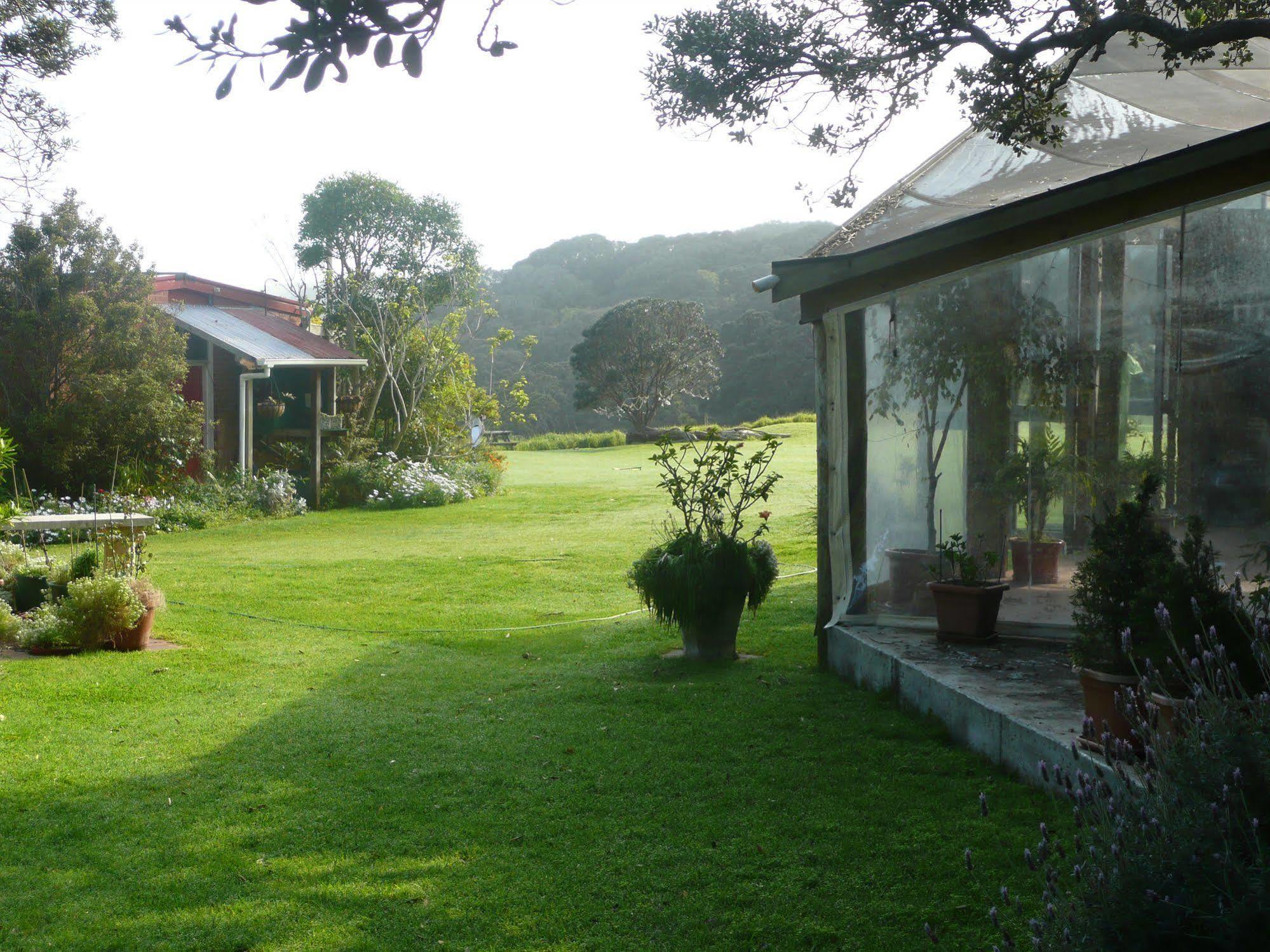 Bethells Beach Cottages Dış mekan fotoğraf